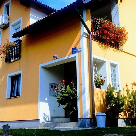 Apartment Medeni Rakovica Dış mekan fotoğraf